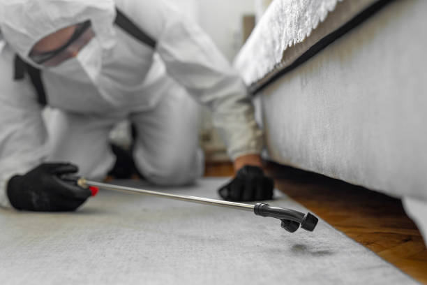 Professional Termite Control technician working in Tuscola, IL
