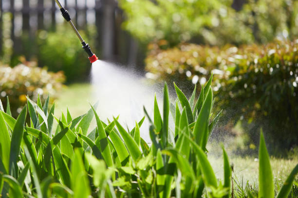 24/7 Emergency Termite Control experts in Tuscola, IL
