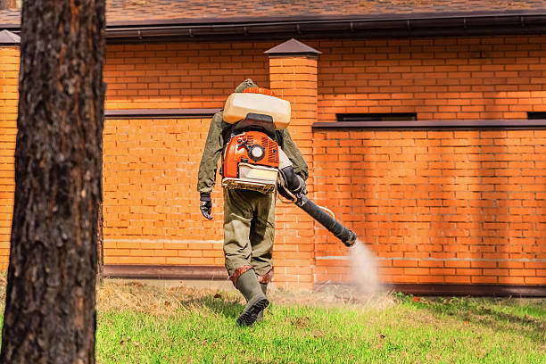 Top rated local Termite Control specialists in Tuscola, IL